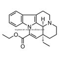 CAS No 42971-09-5 99% Vinpocetine